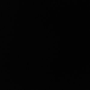 Meet your Posher, Samara